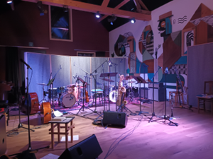 Barbastelle 'Cielo Vivo' schittert in Werkplaats Walter