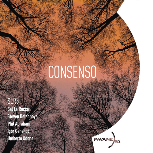 SLR5 - Consenso