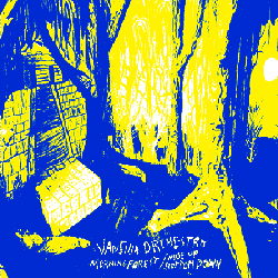 Vansina Orchestra - Morning Forest aka Nose Up Bottom down (cl) Vansina Orchestra - Morning Forest aka Nose Up Bottom down (cl)