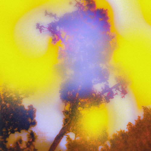Arne Huber – Still