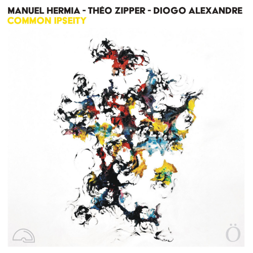 Manuel Hermia / Diogo Alexandre / Théo Zipper, Common Ipseity