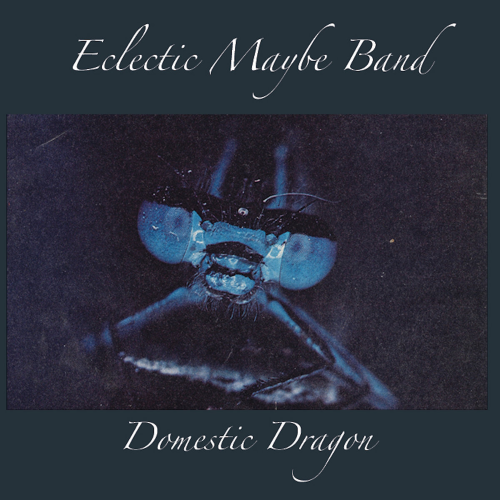 Eclectic Maybe Band – Domestic Dragon
