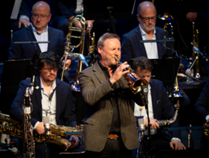 The music of Bert Joris: The next chapter