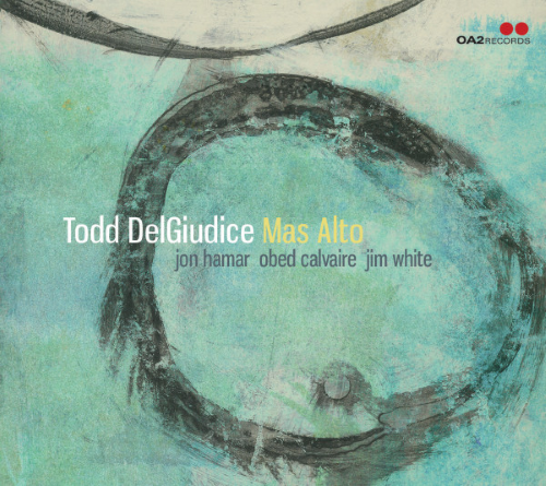 Todd DelGiudice  feat Jon Hamar,  Obed Calvaire, Jim White - Mas Alto