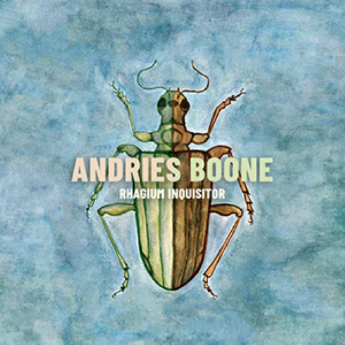 Andries Boone - Rhagium Inquisitor
