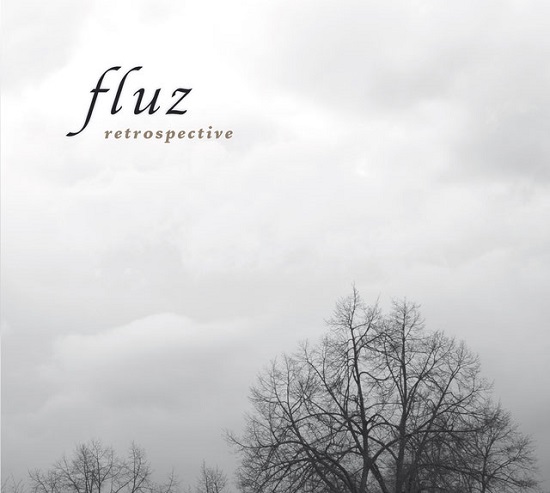 Fluz: retrospective Fluz: retrospective