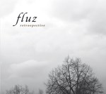 Fluz: retrospective