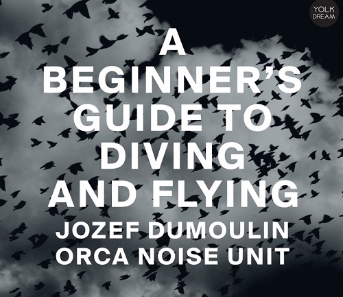 Jozef Dumoulin Orca Noise Unit – A Beginner’s Guide To Diving And Flying